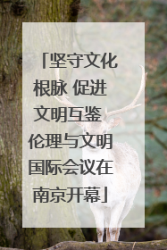 坚守文化根脉 促进文明互鉴 伦理与文明国际会议在南京开幕